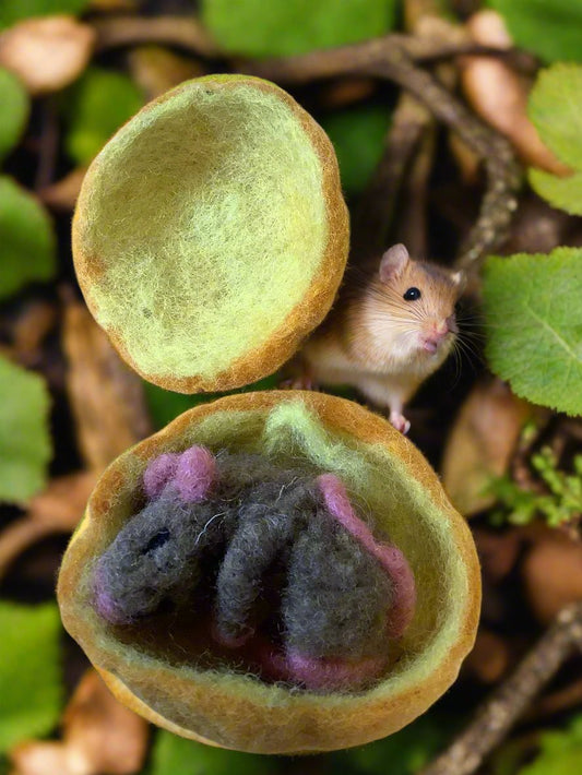 Sleeping Needle felted mouse in pumpkins